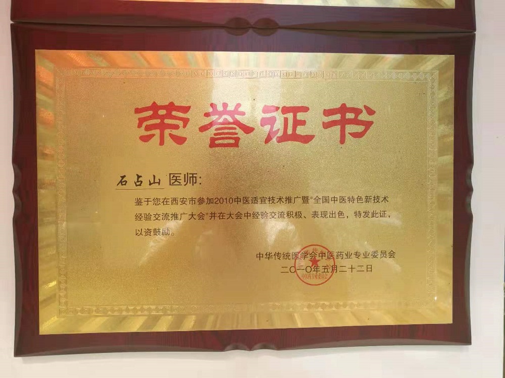中華傳統醫學會中醫藥業授予榮譽證書